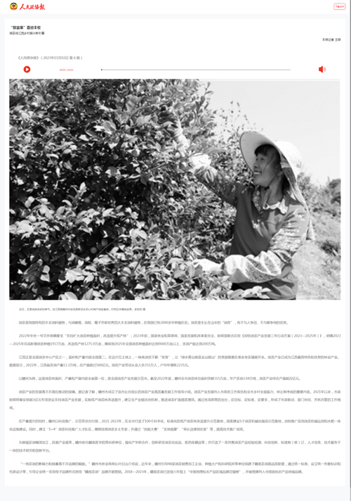 央媒聚焦赣州开展江西油茶产业高质量发展采风活动